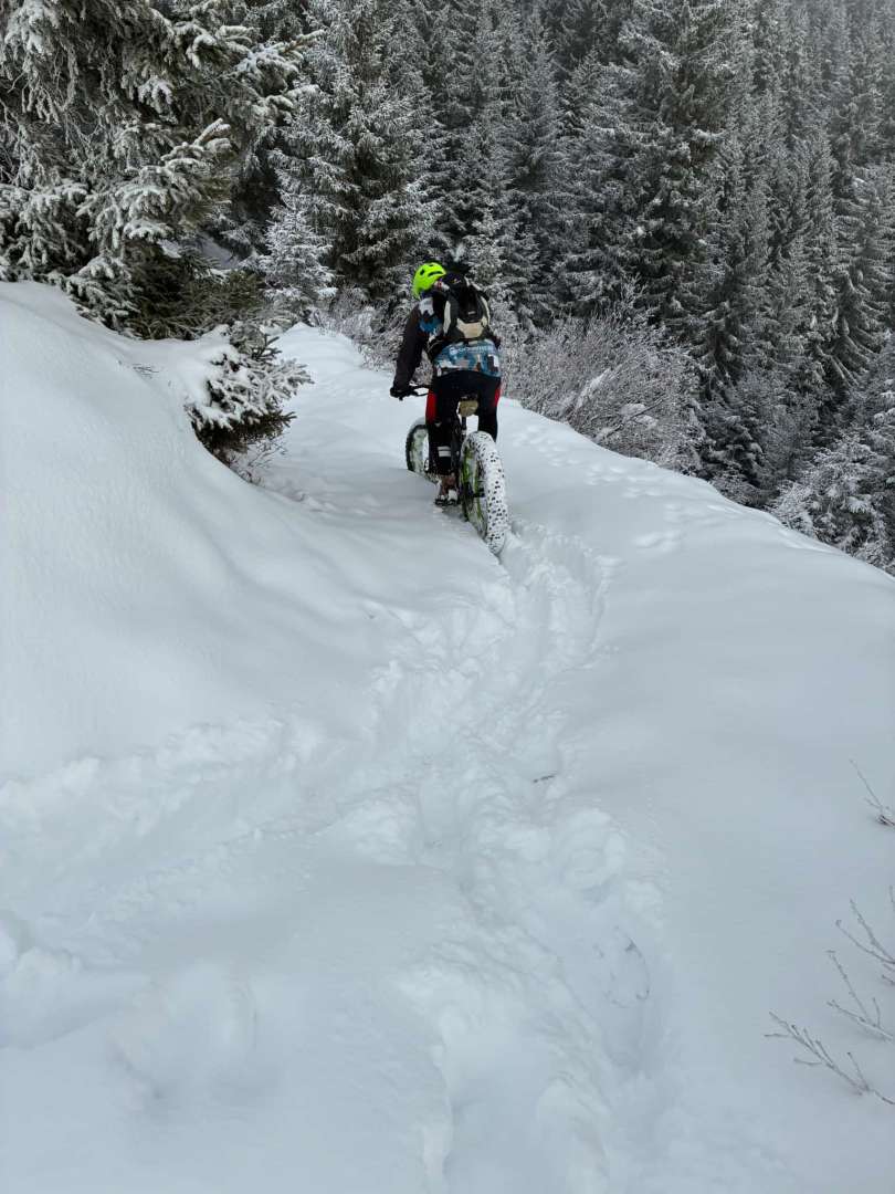 WhatsApp Image 2025-12-05 at 11.46.12.jpeg