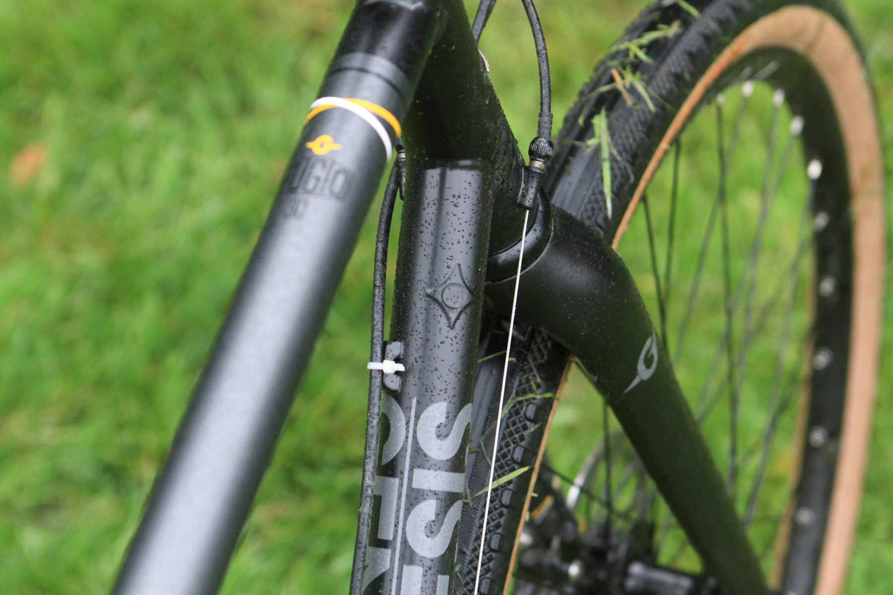 Genesis Fugio 2019