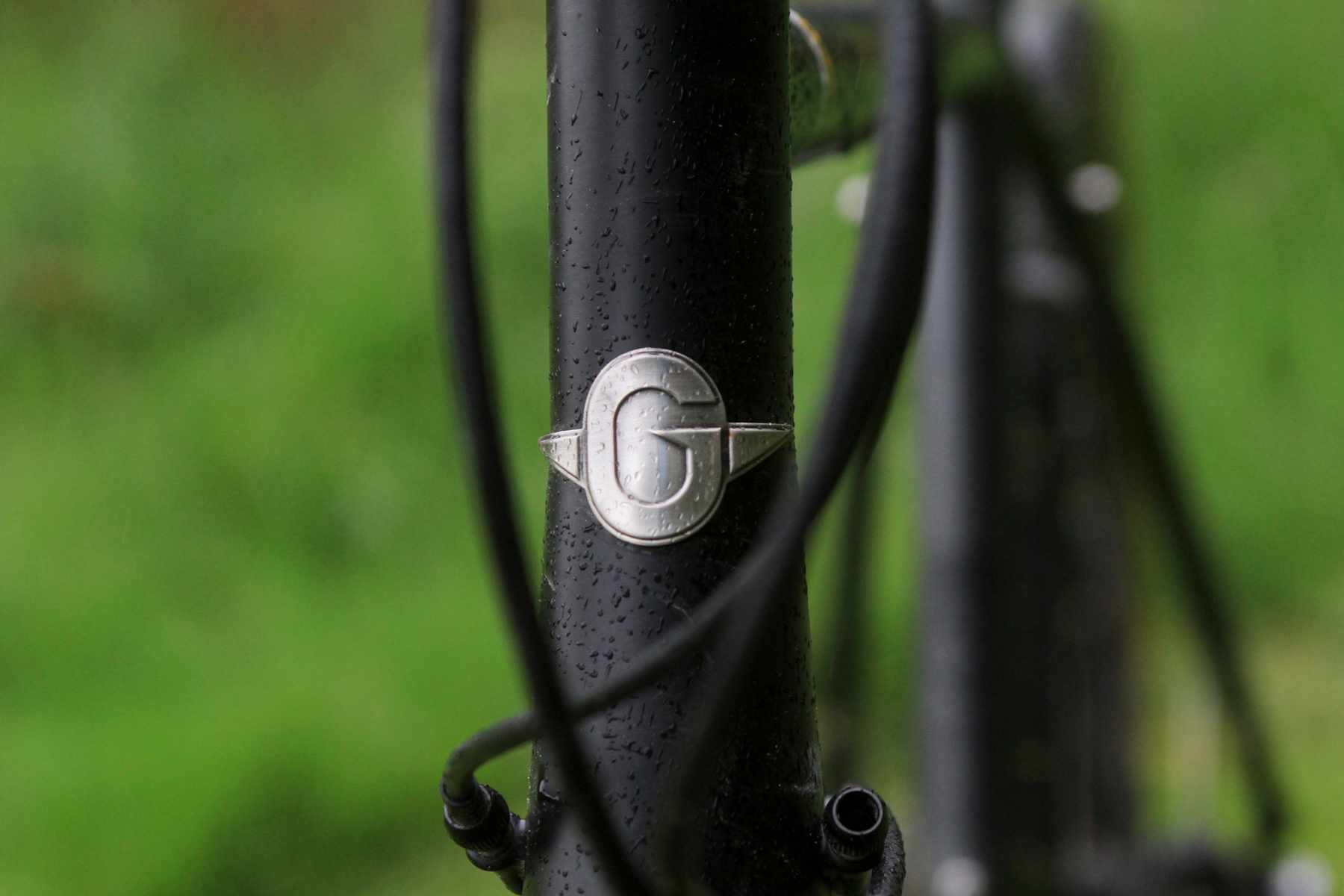 Genesis Fugio 2019
