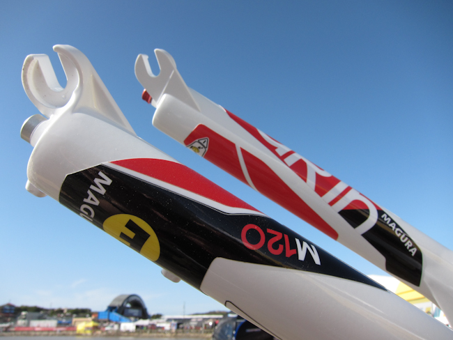 Sea Otter: Magura