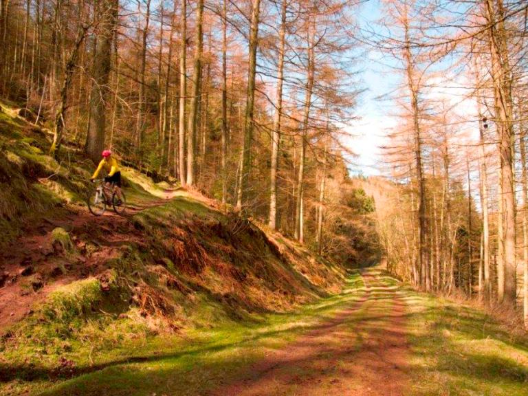 Black Mountains 3 Day Event