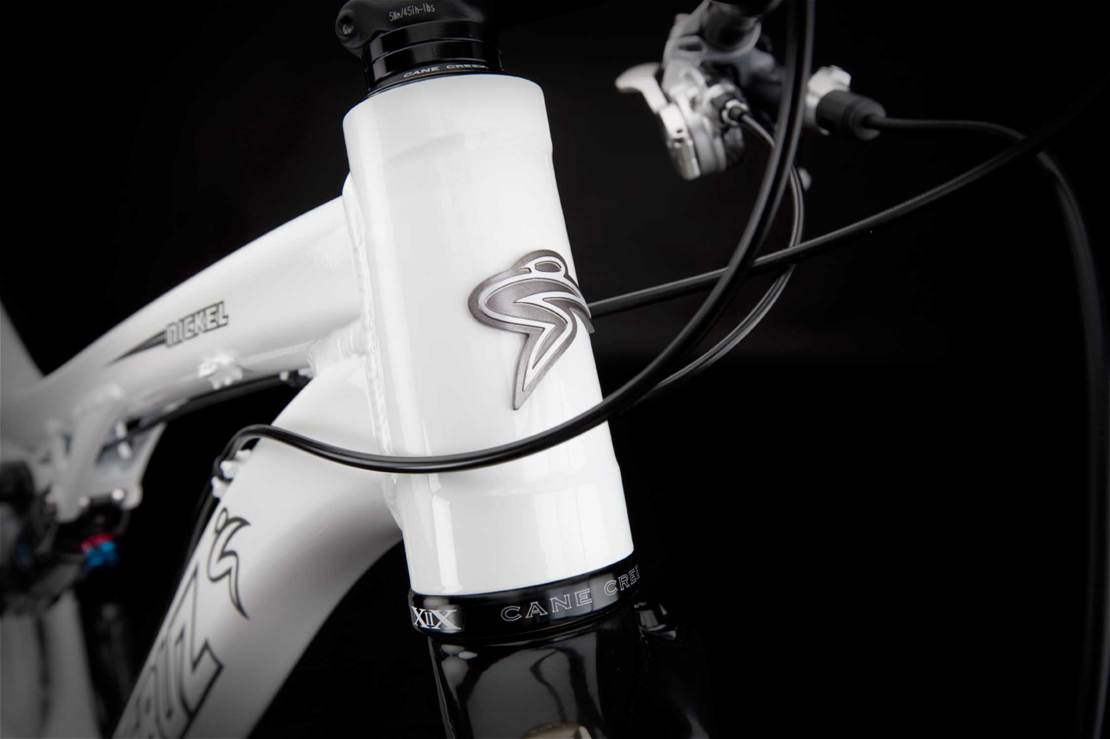 NEW! Santa Cruz Nickel