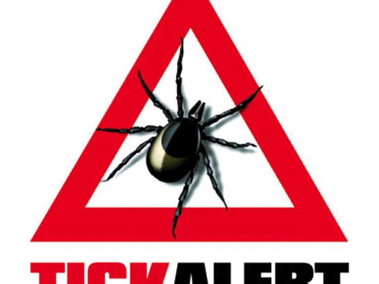 Online Tool Tells Mountain Bikers About TBE Risk in Europe