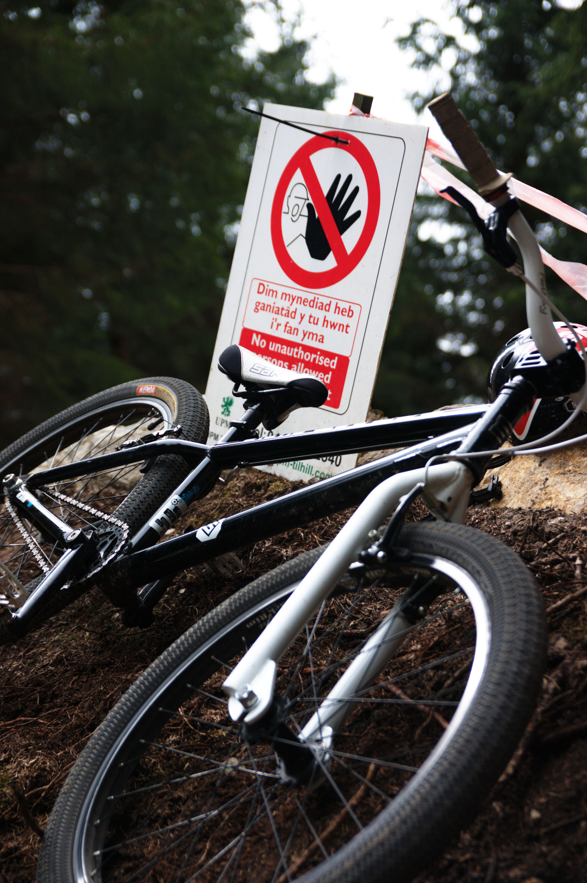 Impulse Bike: Saracen Amplitude