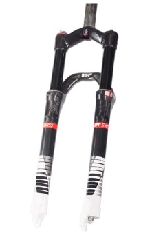 2011 DT Swiss Preview