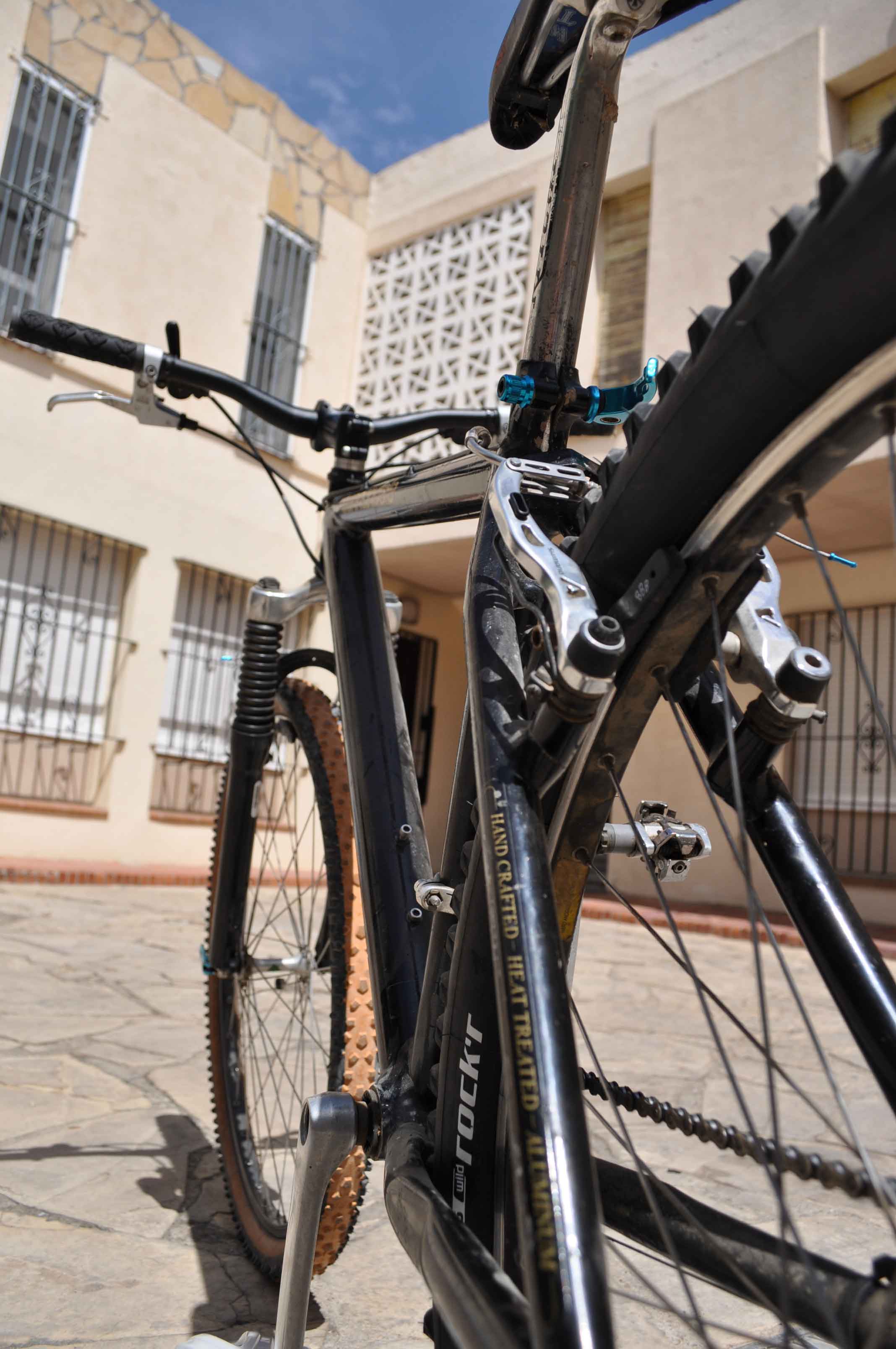 Online Armchair Feature: When To Let Go of a Loved One?