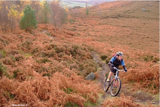 Positive News On Improved Access In Wales