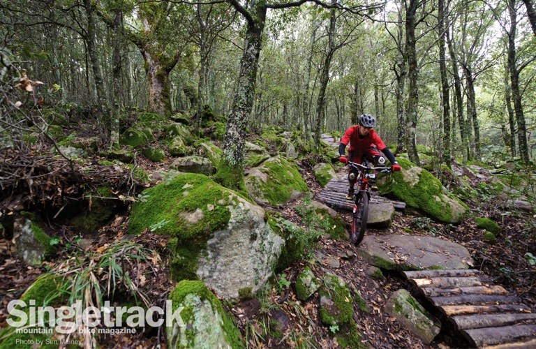 Singletrack Subscribers – Delays UPDATED