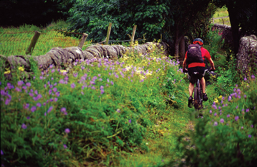 Stop Taking Crap Photos!