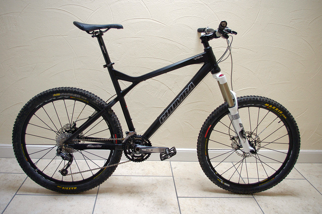 New Chumba Hardtails
