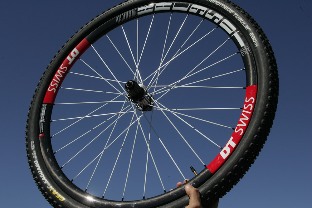 Premier: Sea Otter Image Dump #2