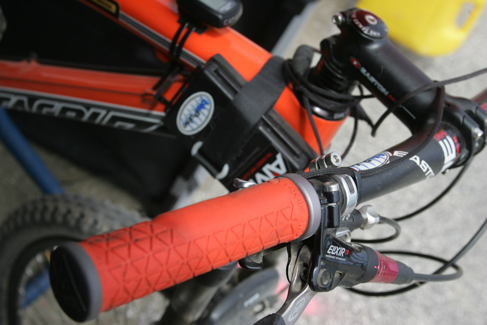 Premier: Sea Otter Image Dump #3