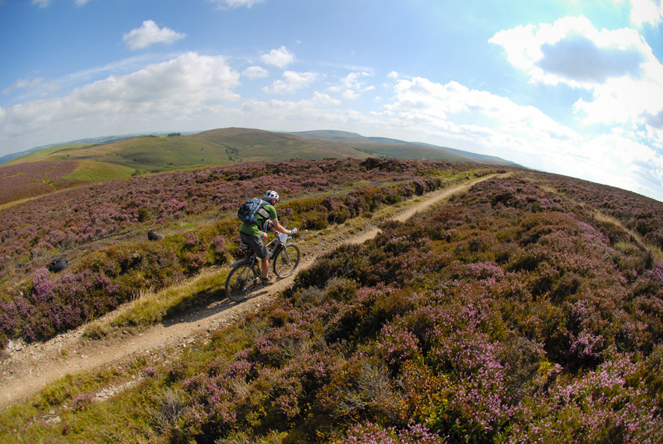 Only four weeks ’til Gore Bike Wear TransWales…