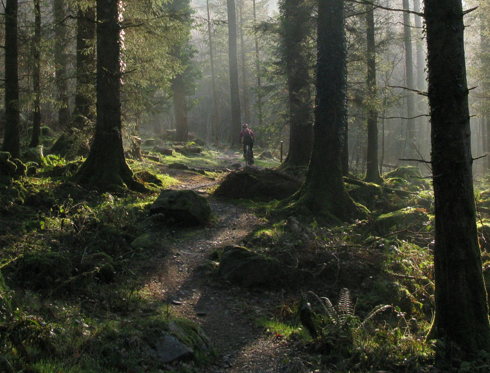 New Coed Y Brenin Enduro for October 2nd