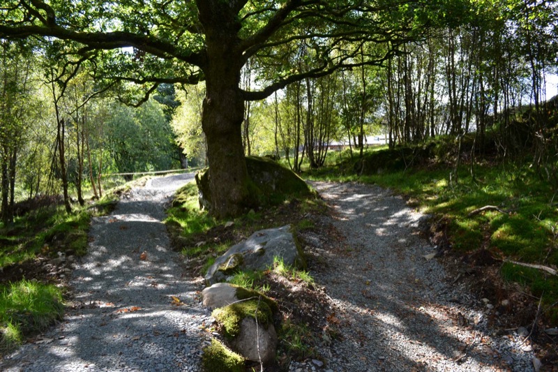 Plas y Brenin Skills Area Launched