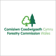 Forestry Commission Wales announce result of Youtube ‘assault’ investigation