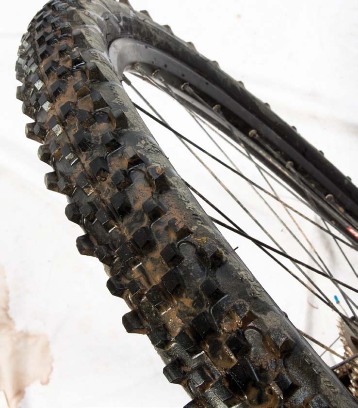 WTB Moto TCS 29 x 1.9in