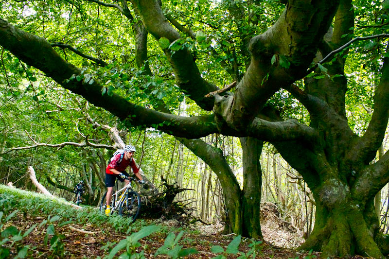 76_southdowns_jenn_07