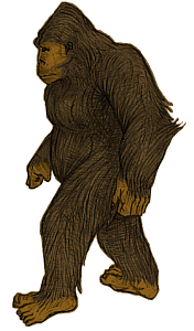Lost a Yeti? Doncaster Police would like to know…