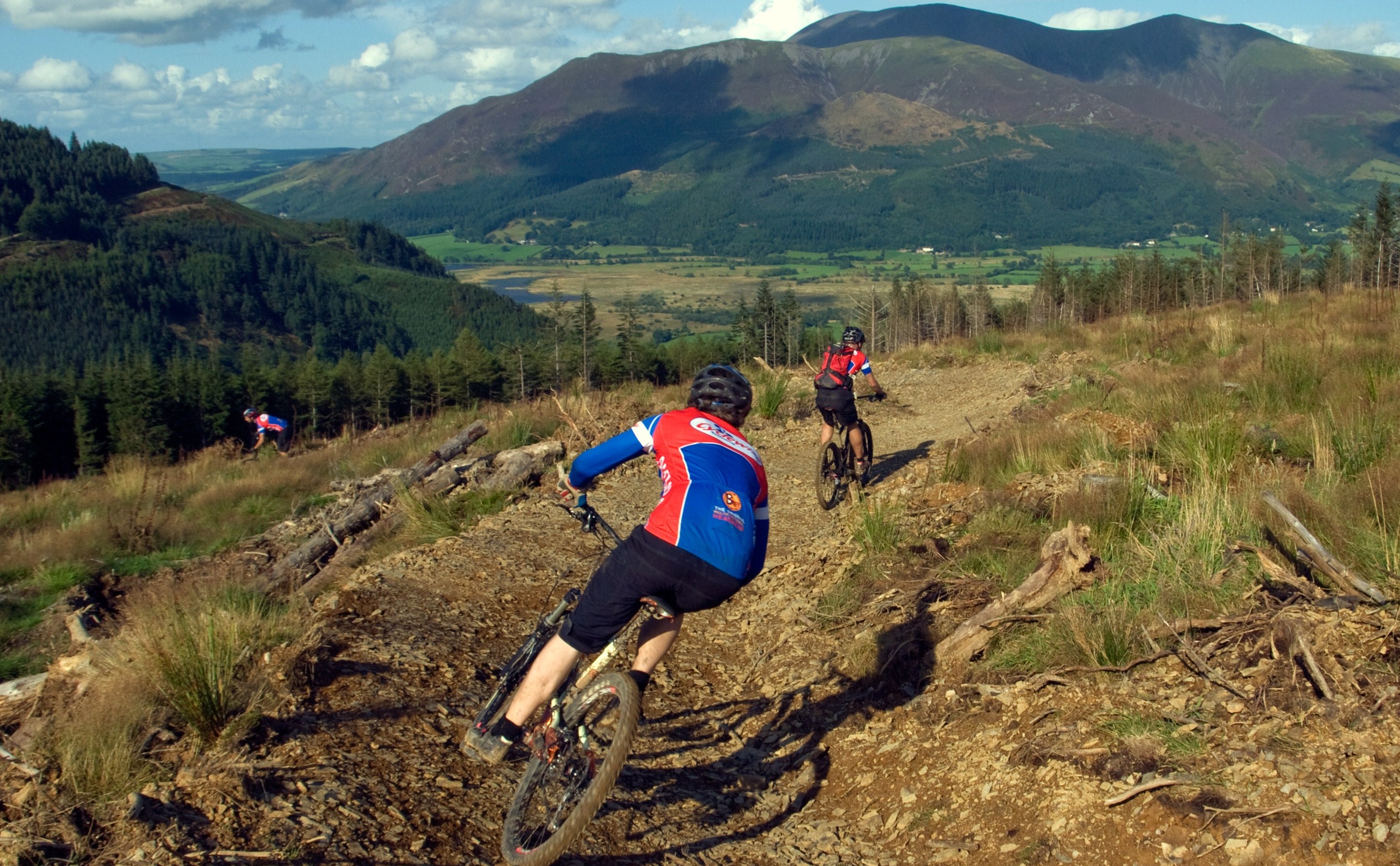 Tuesday Treats 14: Cyclewise, Whinlatter