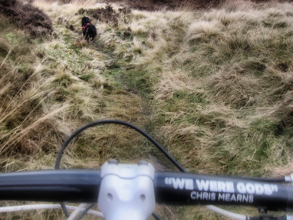 Monday Morning Debrief No.6