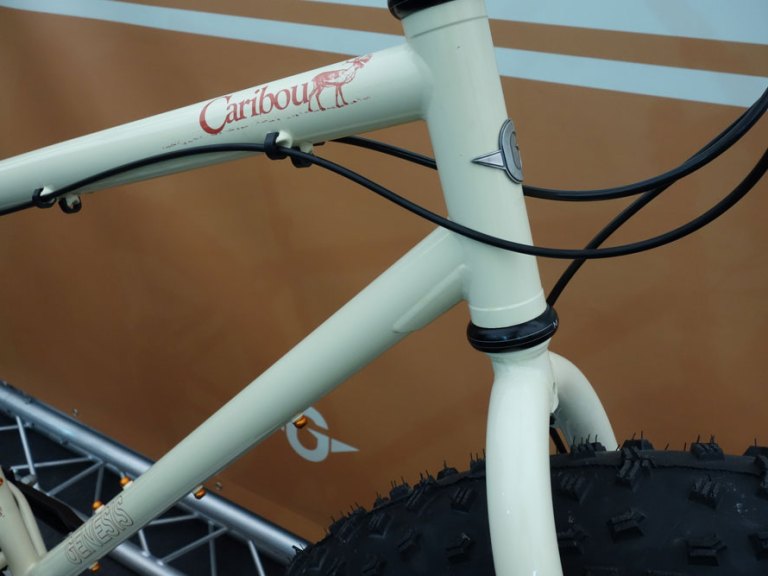 Highlights from iceBike*