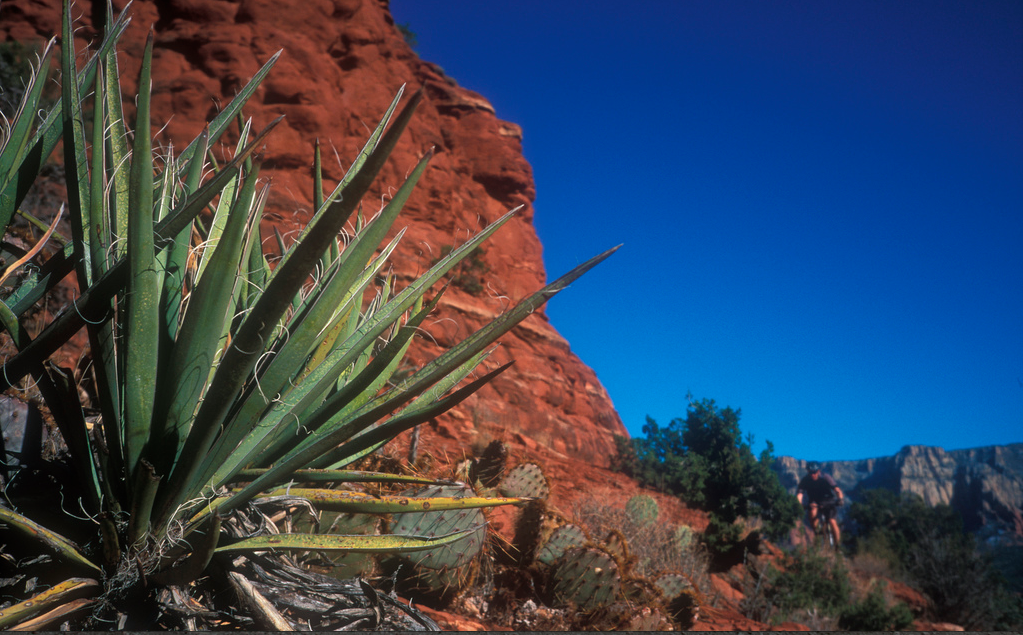 Monday Morning Debrief 17