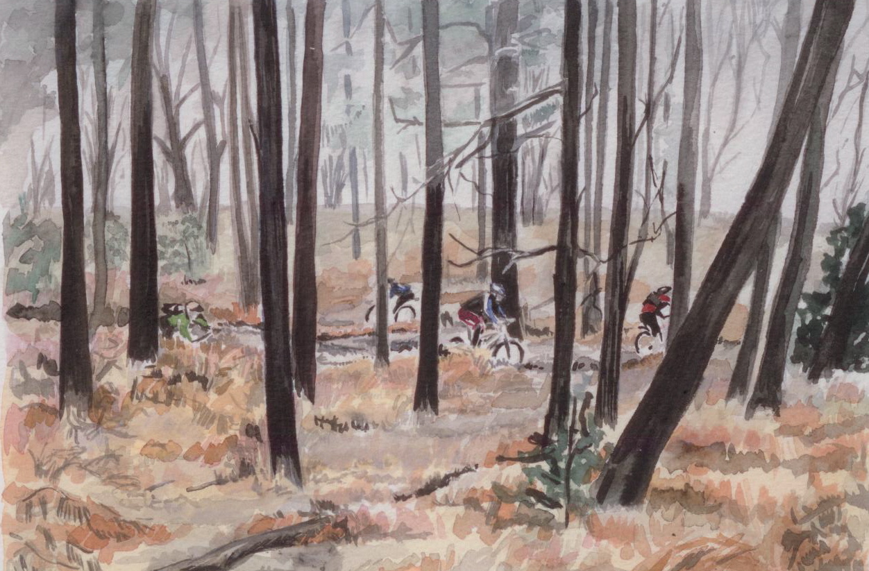 Available Now: Limited Edition Singletrack Watercolour Prints