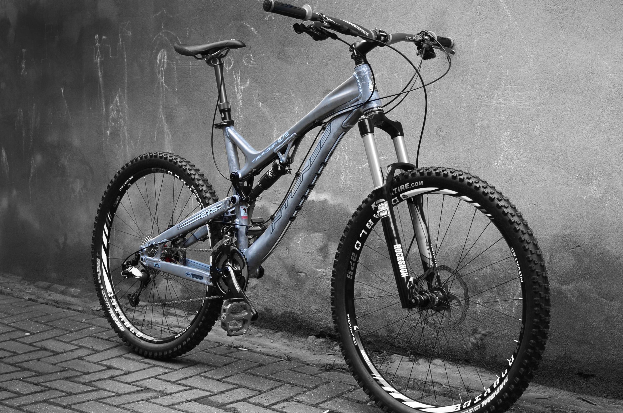 Tuesday Treats 34: Moose Cycles