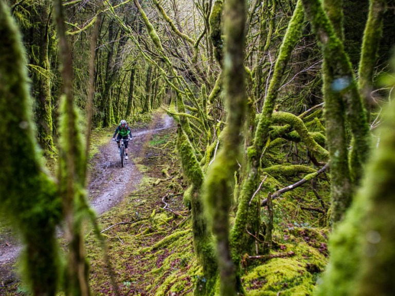 Singletrack 82: Sneak peeks and exclusive Premier feature.
