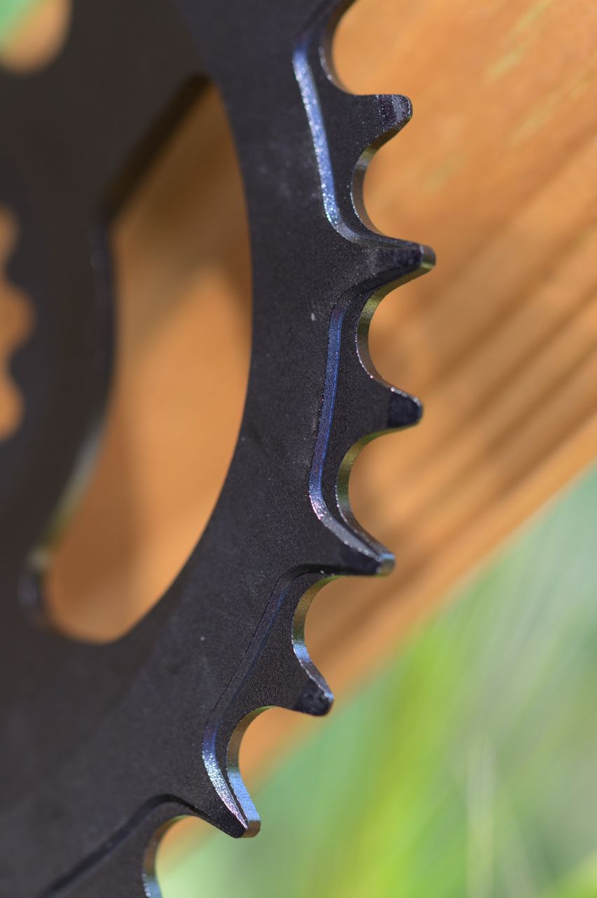 Teeth