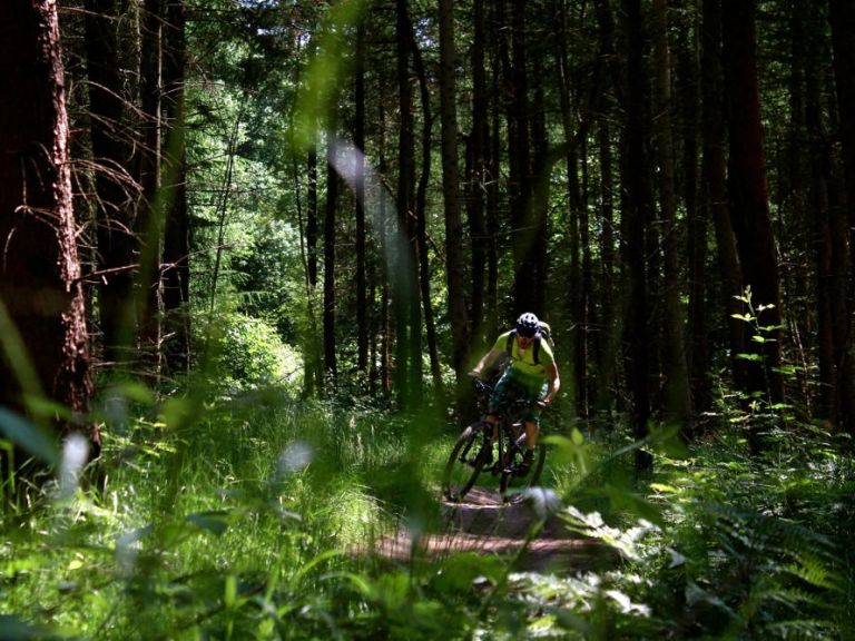 Whyte 2014