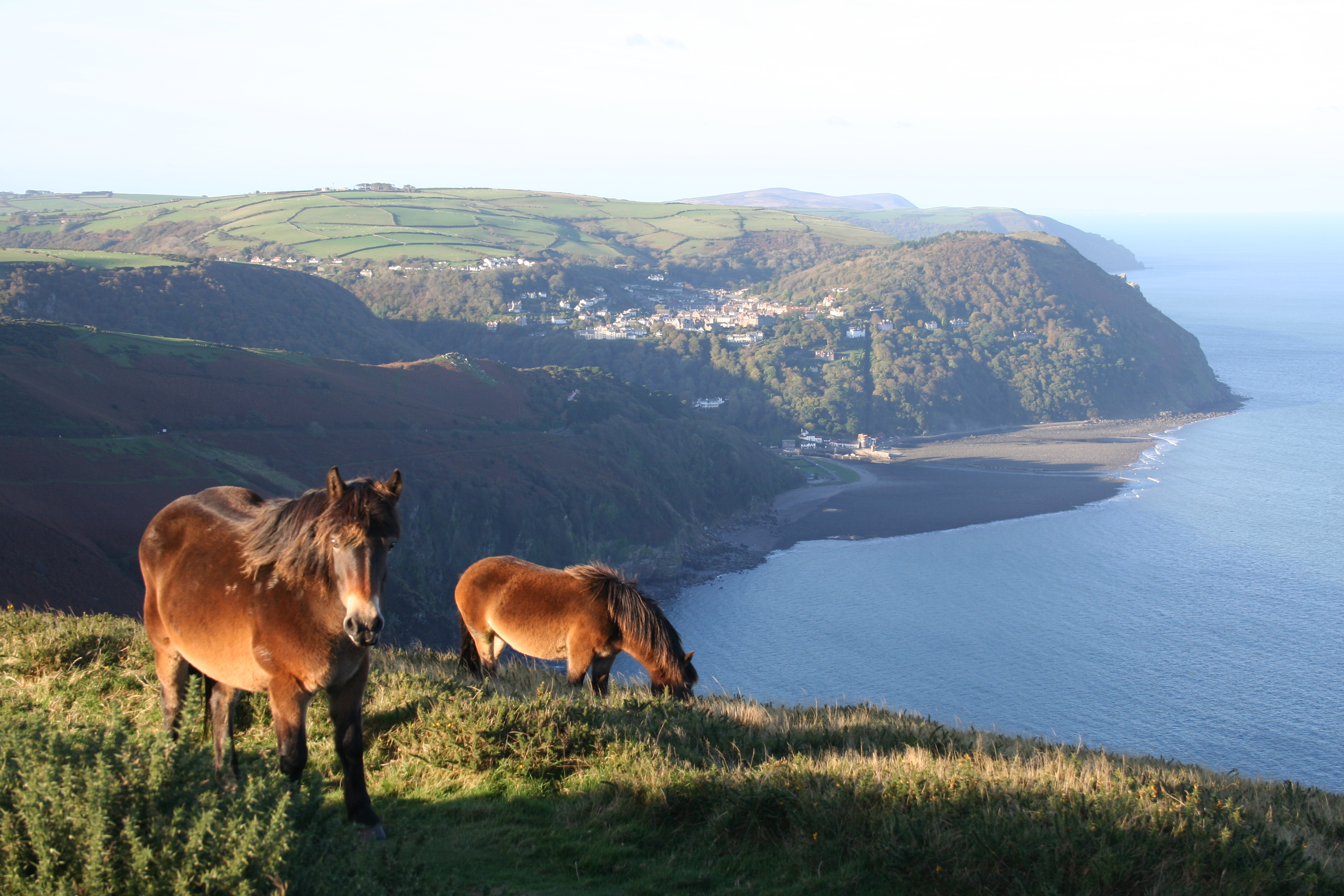 Lynton 169