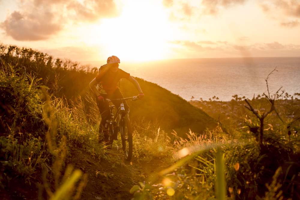 Issue 84 – sneak peek!