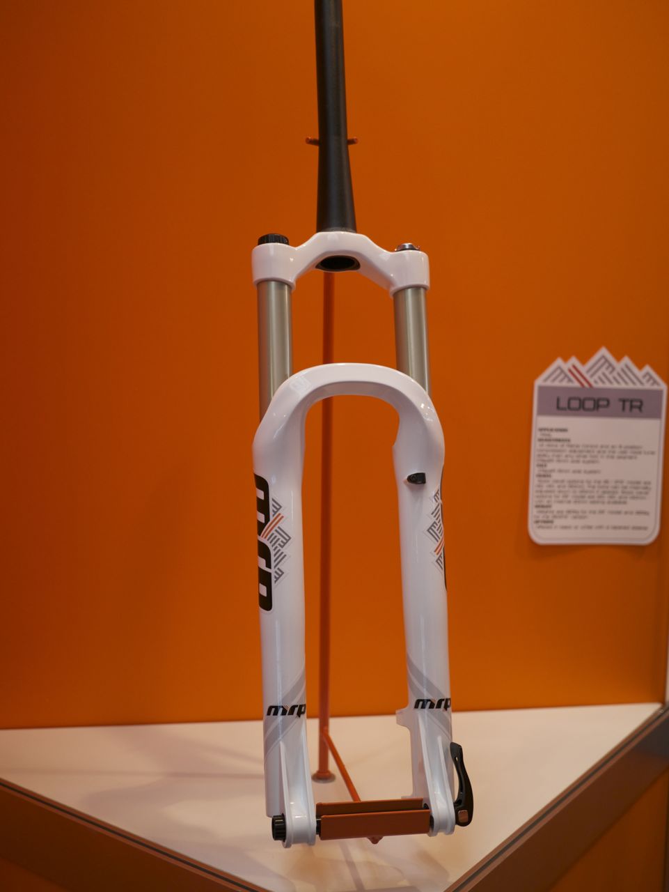 P1000954_2