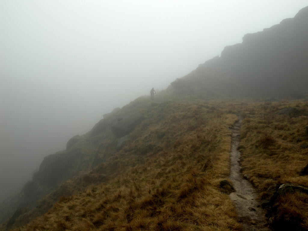 Fog down