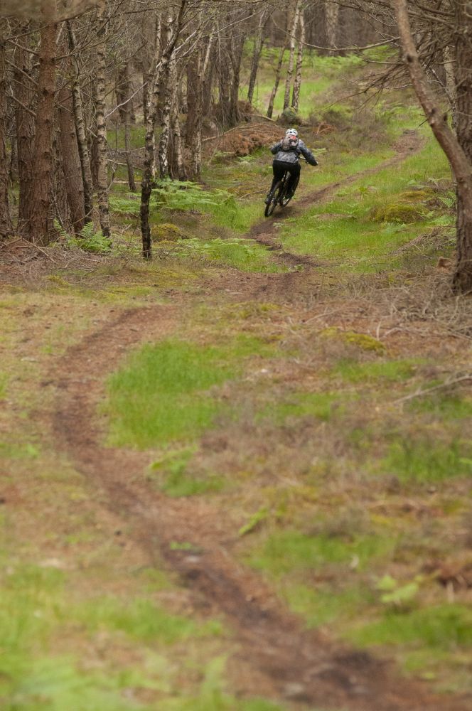 Singletrack... tick!