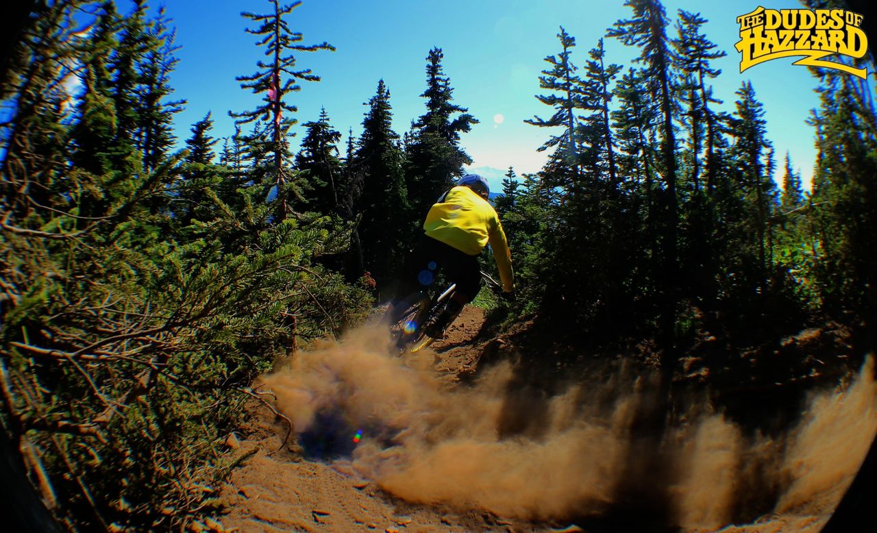 Roost!
