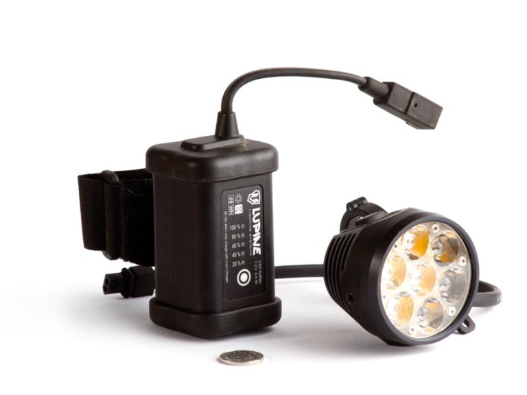 Lupine Betty R7
