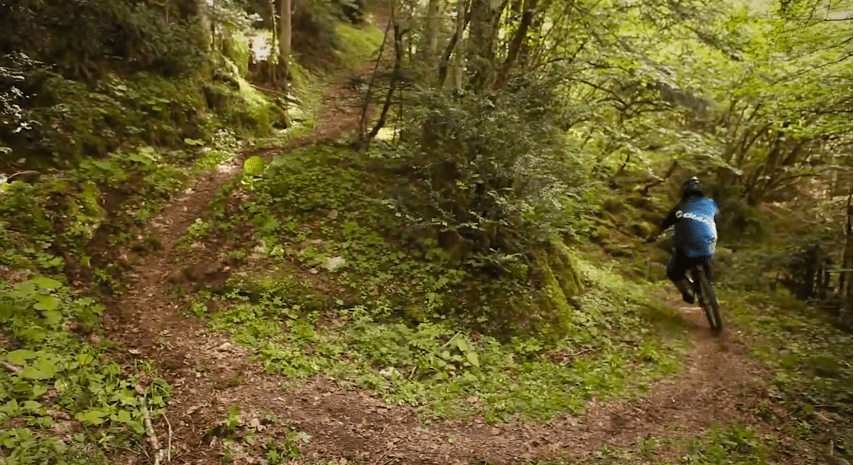 Régis – guaranteed to cheer you up