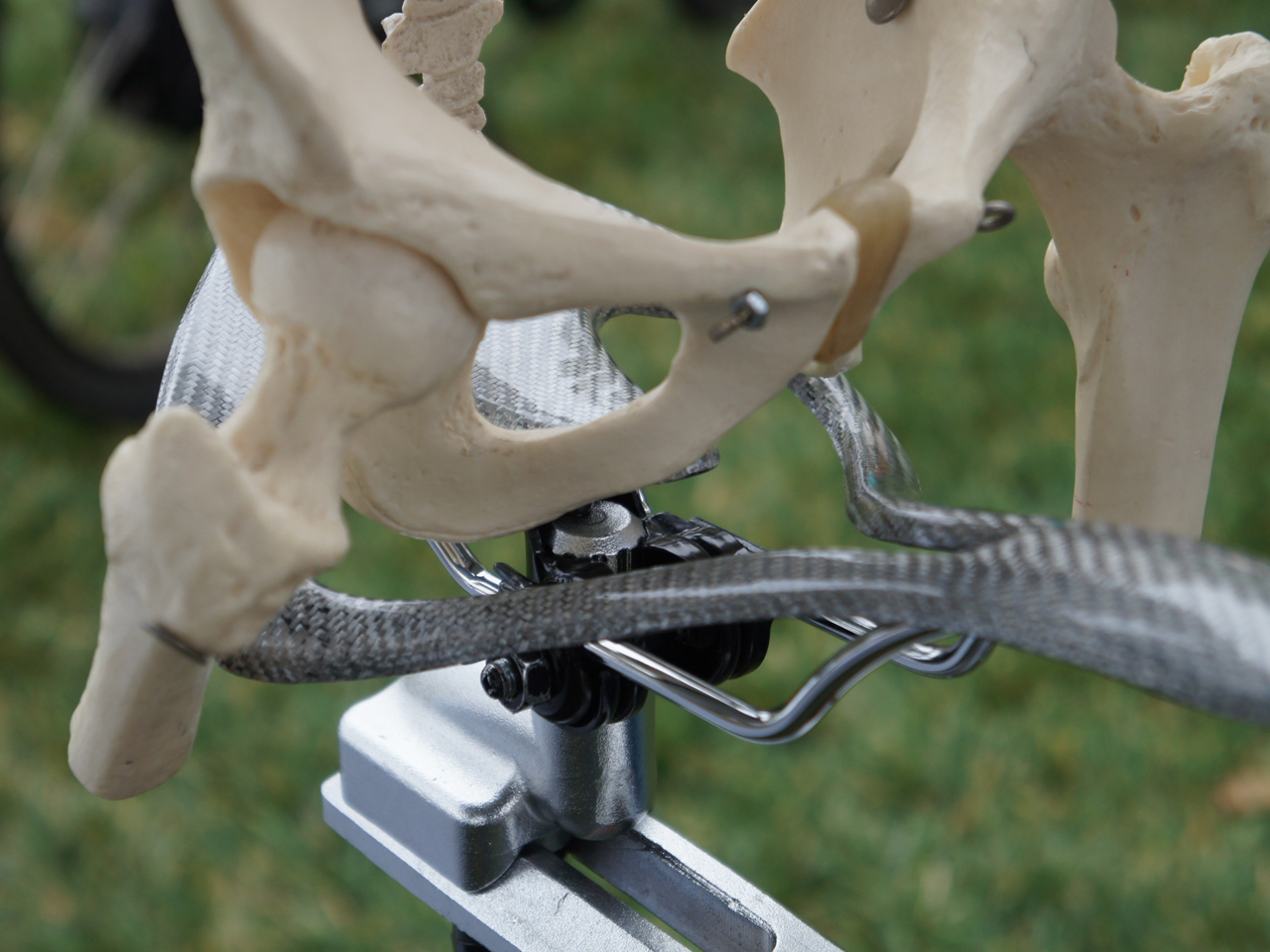 Butt bone connected to the leg bone; Dem bones, dem bones gonna ride around