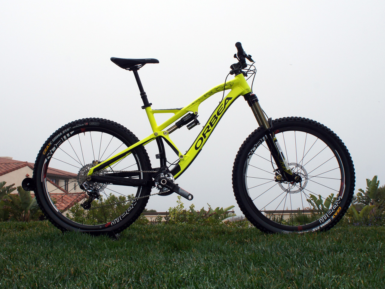 Rallon X Limited