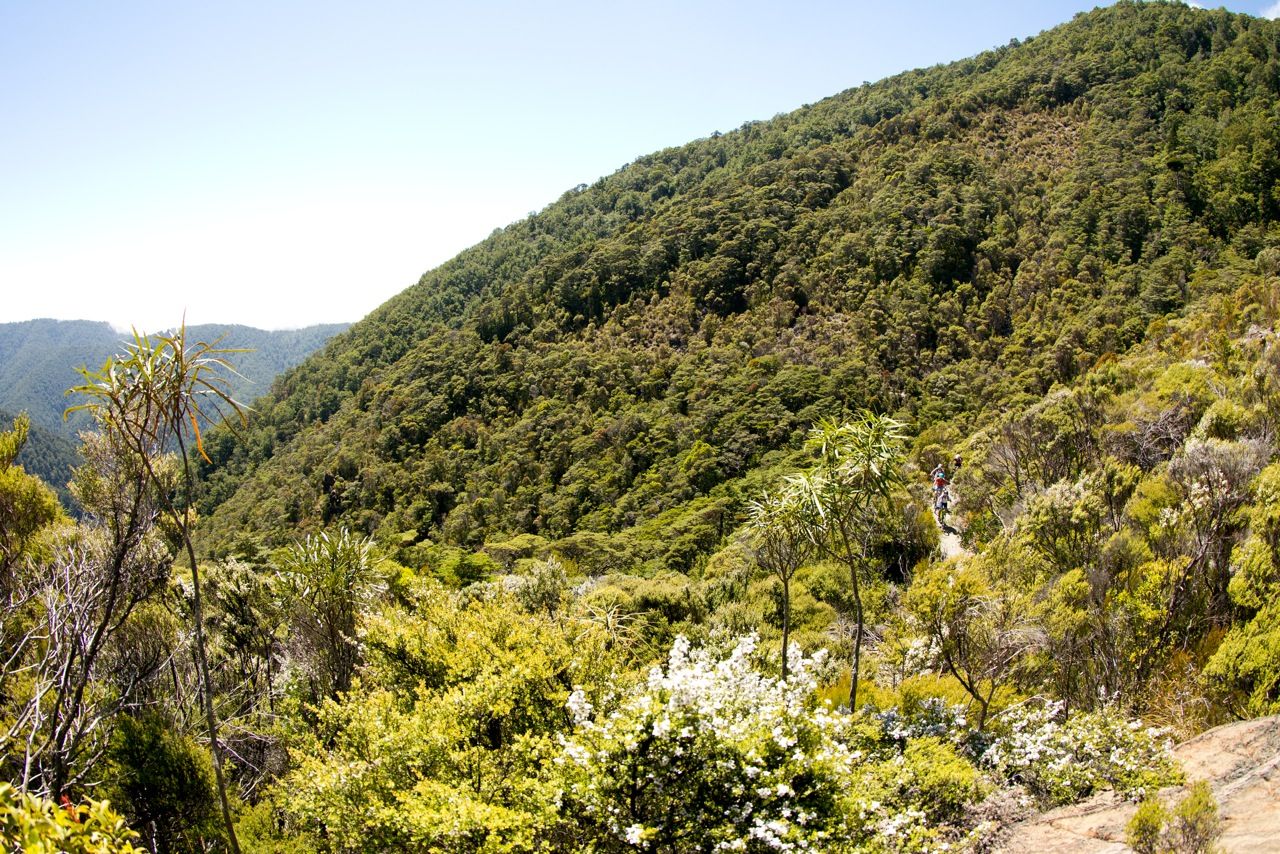 Classic Coppermine Loop - Nelson