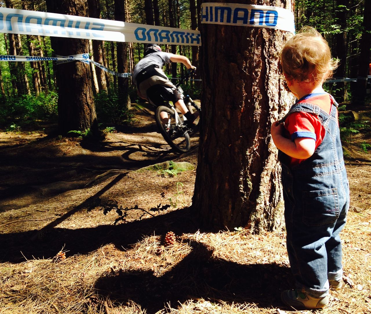 Steel City DH 2014
