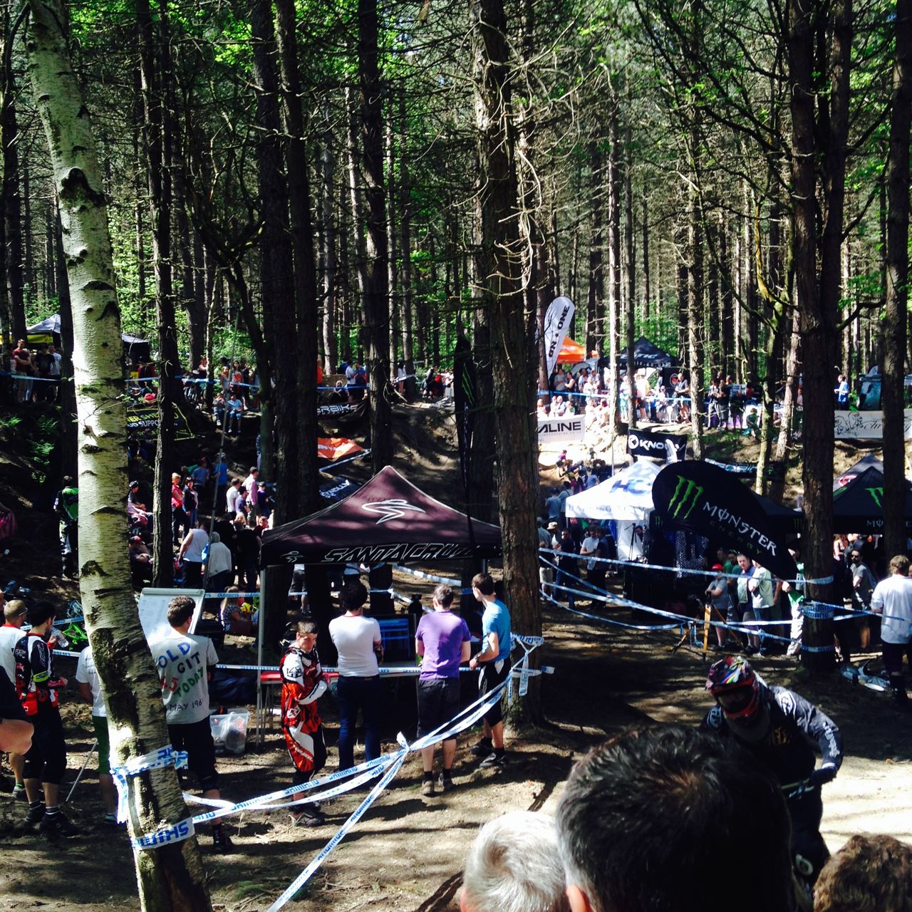It's packed in the woods