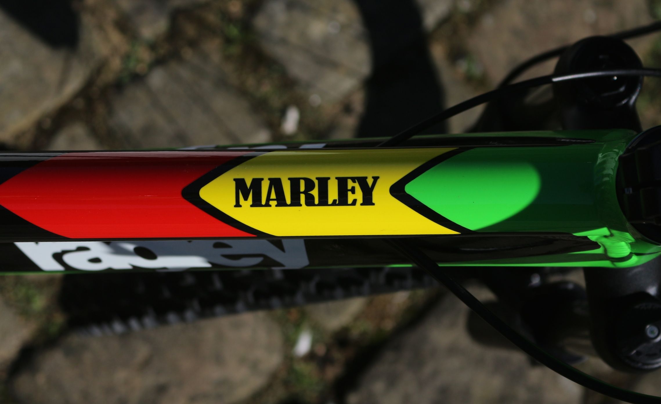 Marley and me