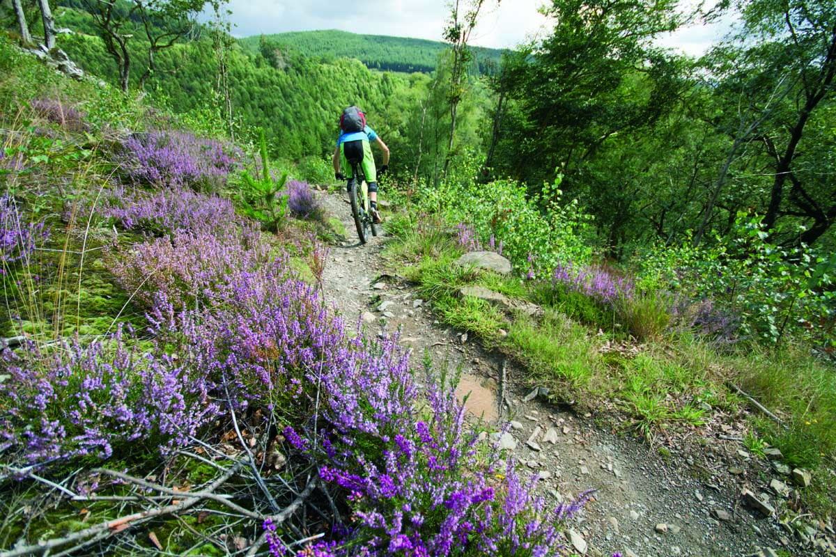 Recreation Must Pay – But It’s Everyone Who Will Suffer