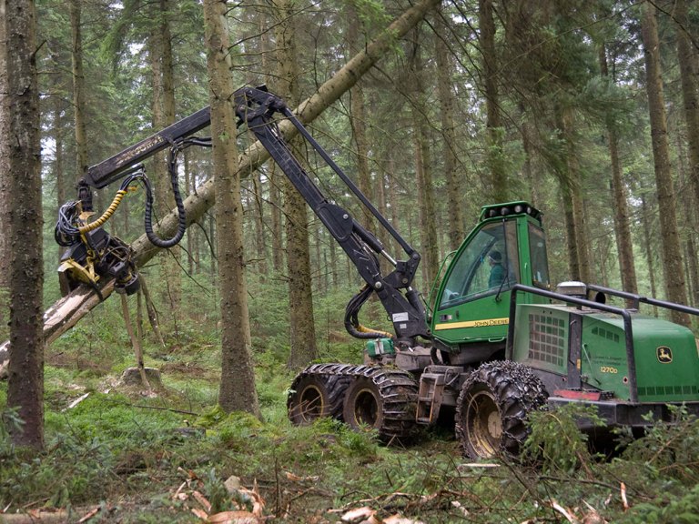 Tree felling work to begin at Glentress this winter.