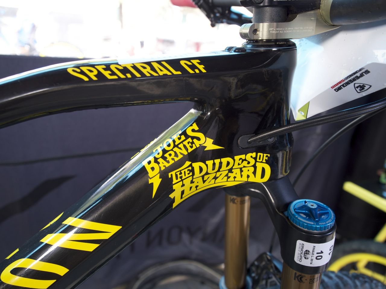 We're loving the vespid colour scheme