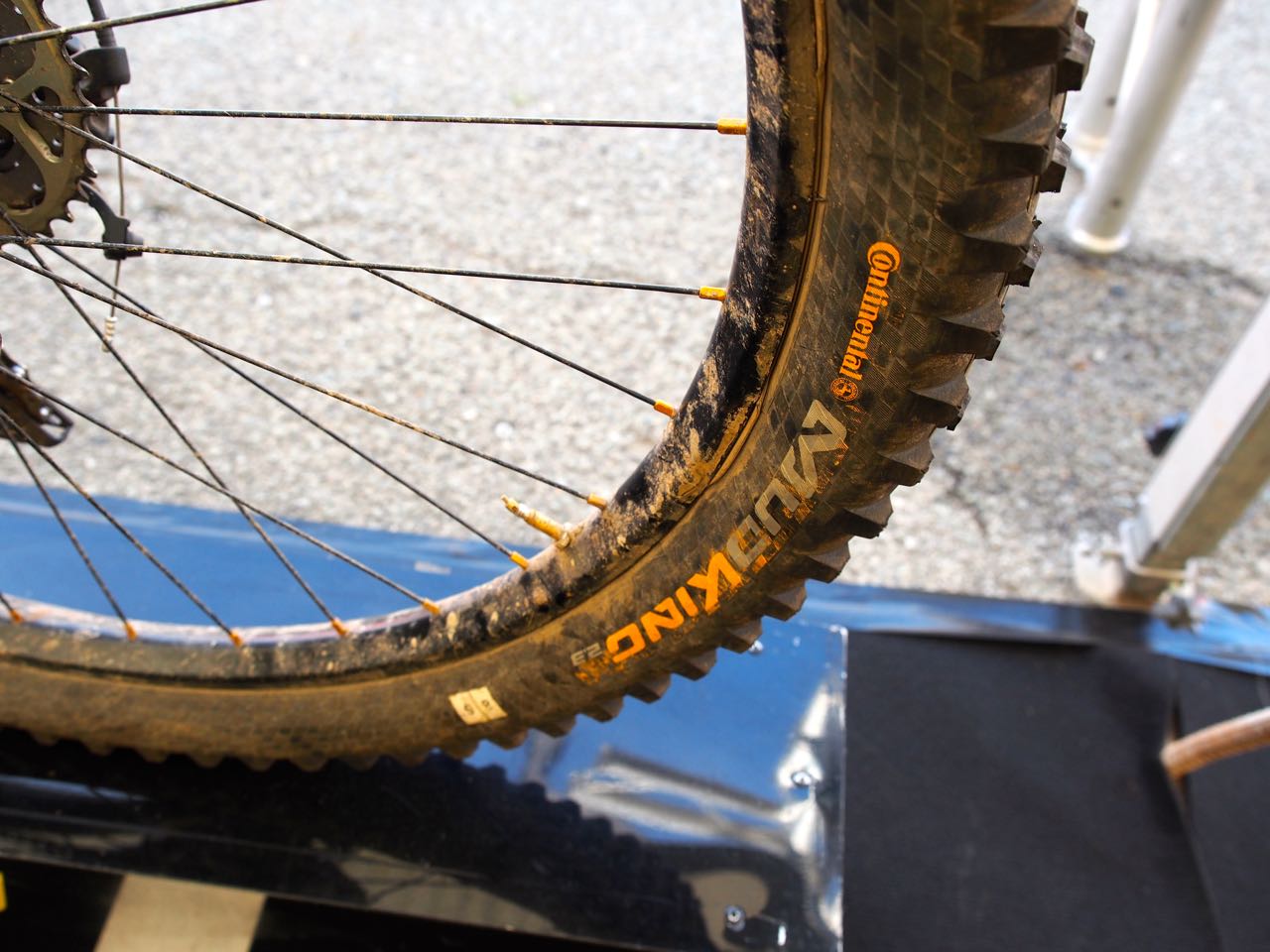 Mud tyre out back